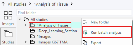 
Example of a batch analysis on a single folder.