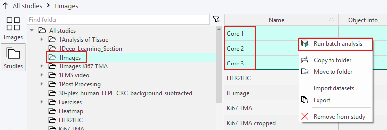 Example using Right-click to run a batch analysis on a selection of images.