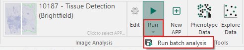 Placement of the Run batch analysis button in the ribbon.