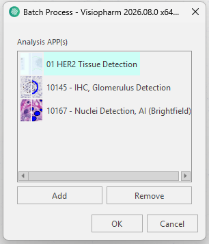 
Example of a Batch Analysis containing Tissue Detection, Glomeruli Detection, and Nuclei Detection APPs. The APPs are executed automatically from top to bottom.
