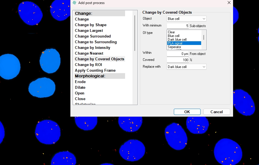 In this example, Blue cell objects can be changed to Dark blue cell objects. This will happen if it contains at least 5 PLA signal objects (the red spots) 
that are wholly within the blue cell (given from the 100 % coverage). Note the Blue cells on the left that have not been changed to Dark blue cells.
