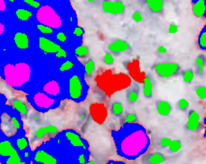 Image after postprocessing