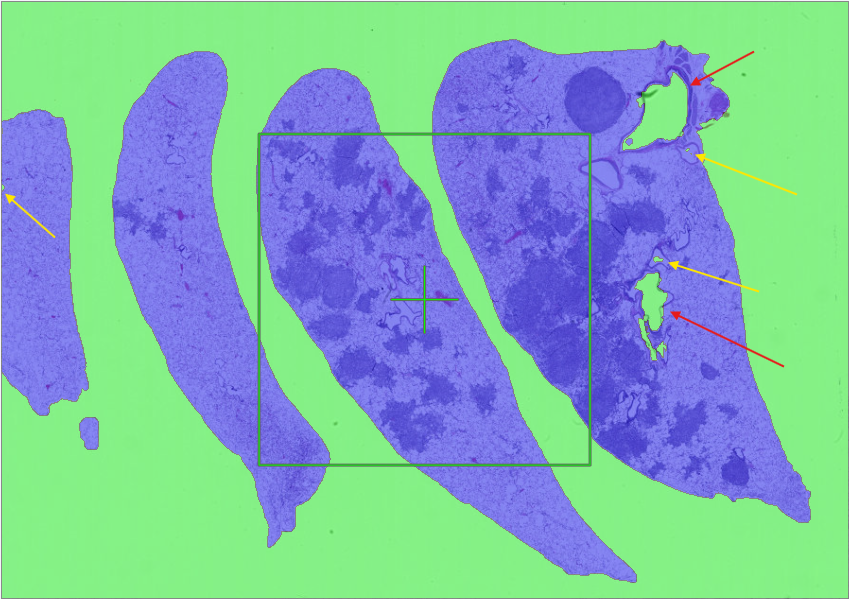 Raw classification result Raw classification result