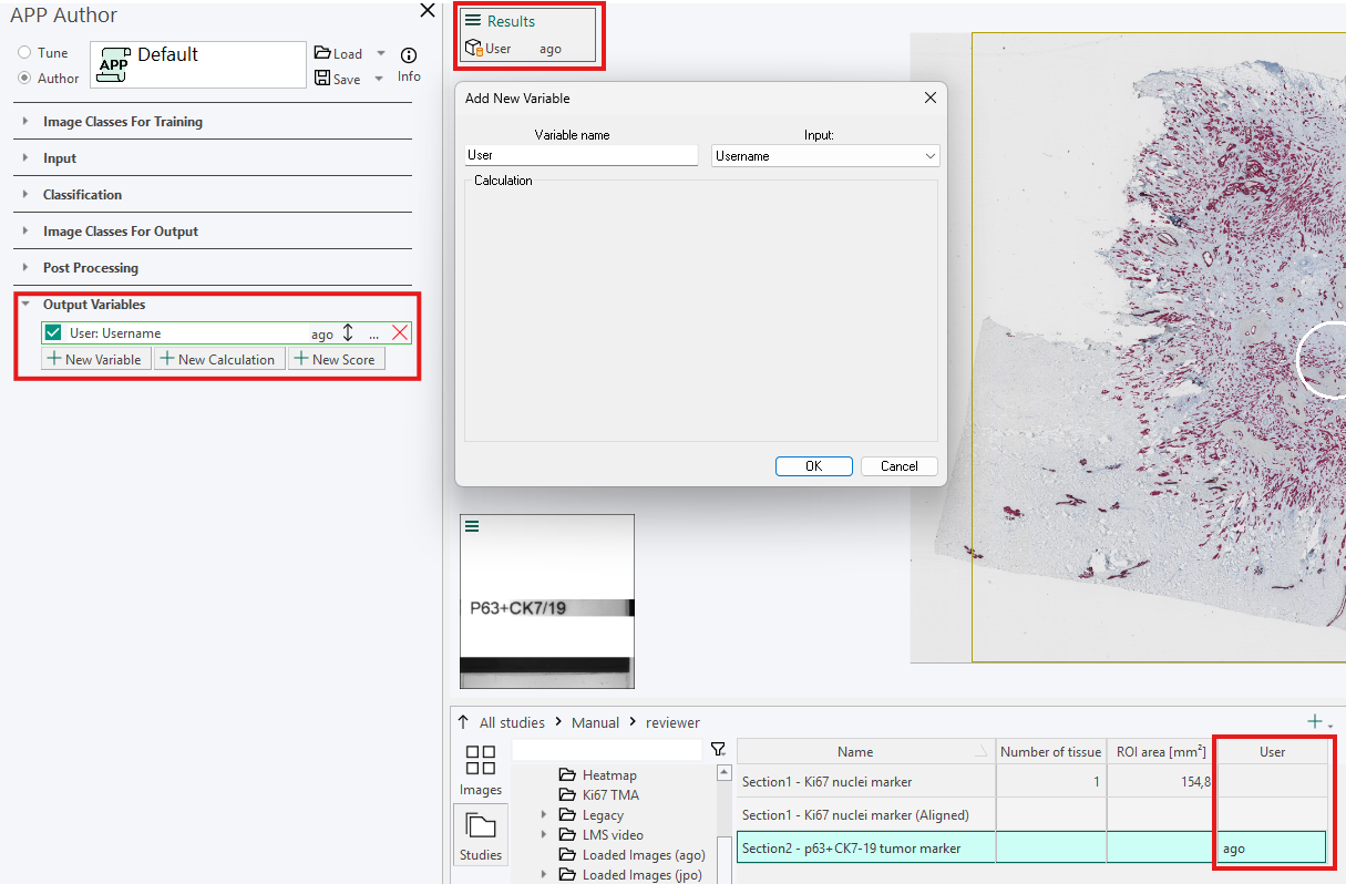 The result of applying the output variable with the input username and the name User.