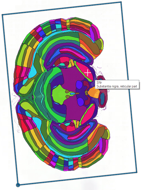 Double click on region