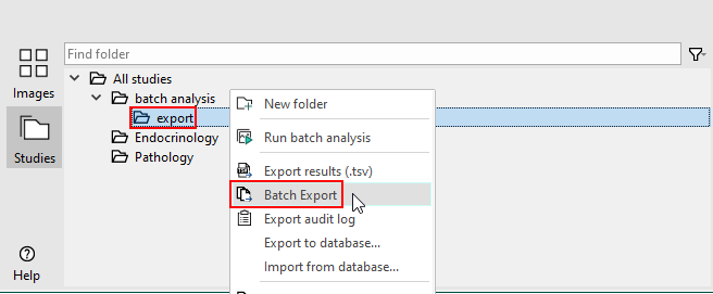  In this example, the export folder below the batch analysis folder is selected.