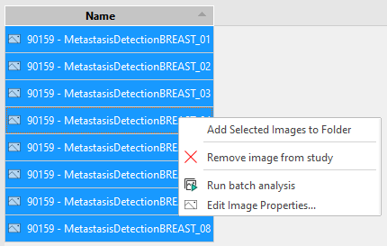 Click on Run bath analysis to run an analysis on the current selection of images.