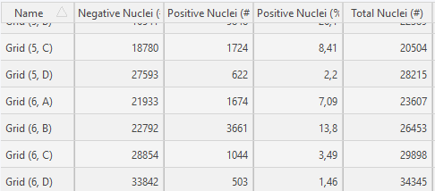 Results will automatically be added to the images within the study once the analysis has been finalized.