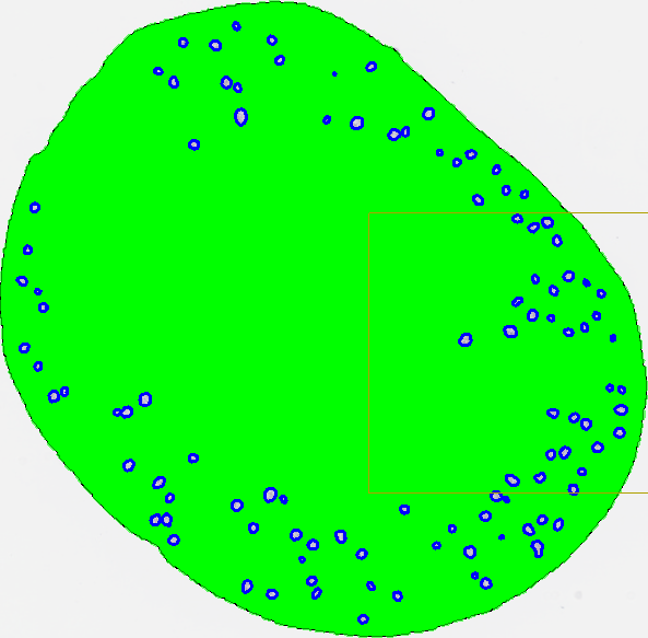 Example: Running a Glomeruli detection APP
