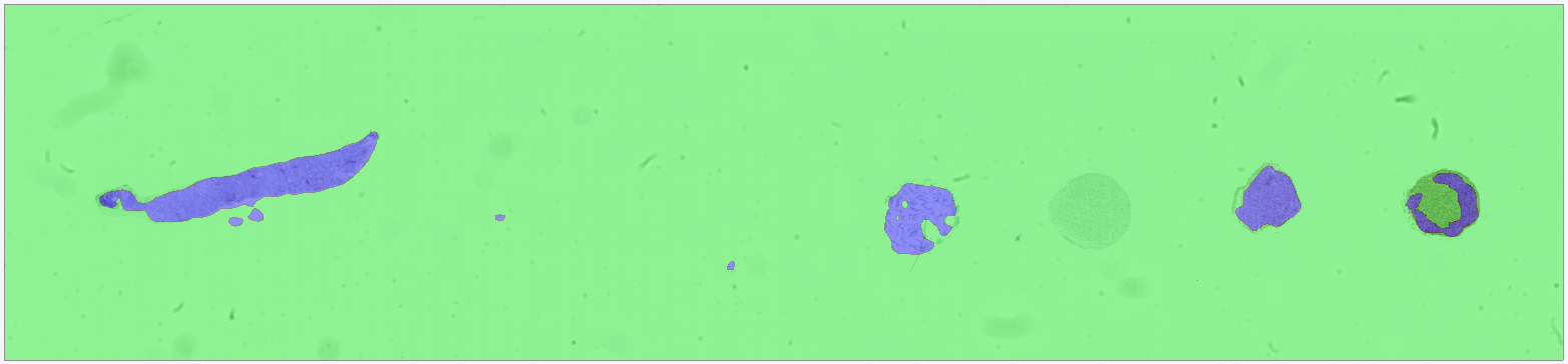 Classification result without Context Aware Region Mapping. 