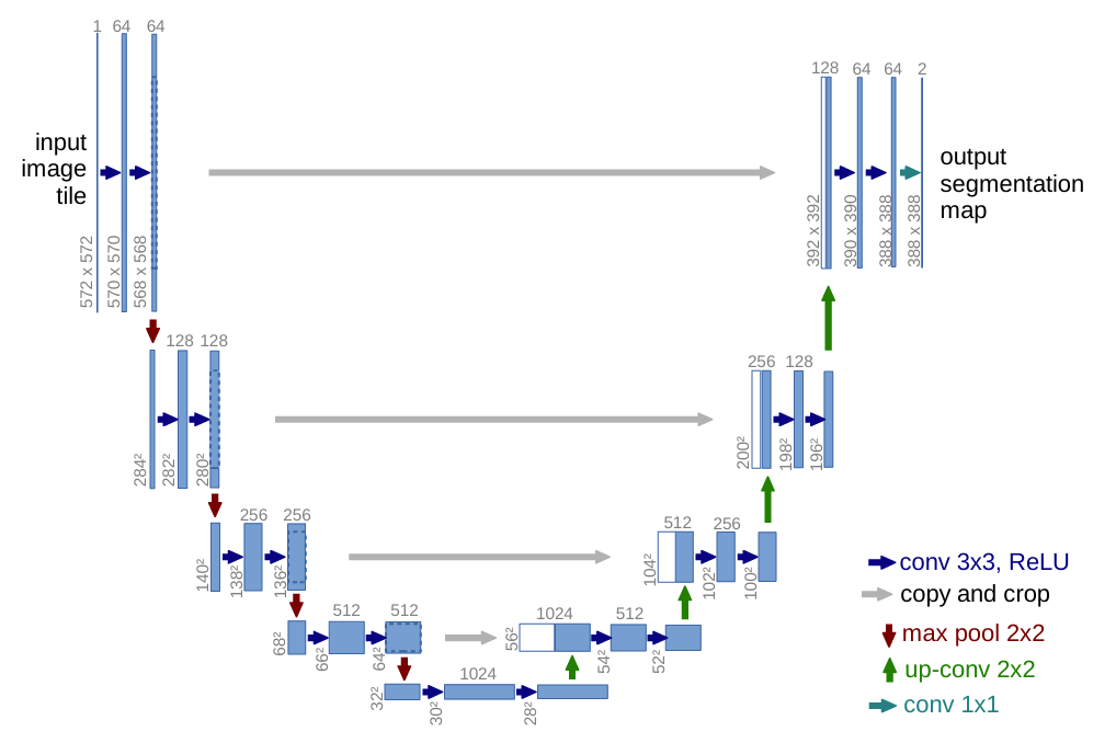 U-Net architecture as shown in the original paper. Blue boxes represent feature maps at different resolutions. Skip connections (grey arrows) copy information from the encoder to the decoder at matching resolutions.