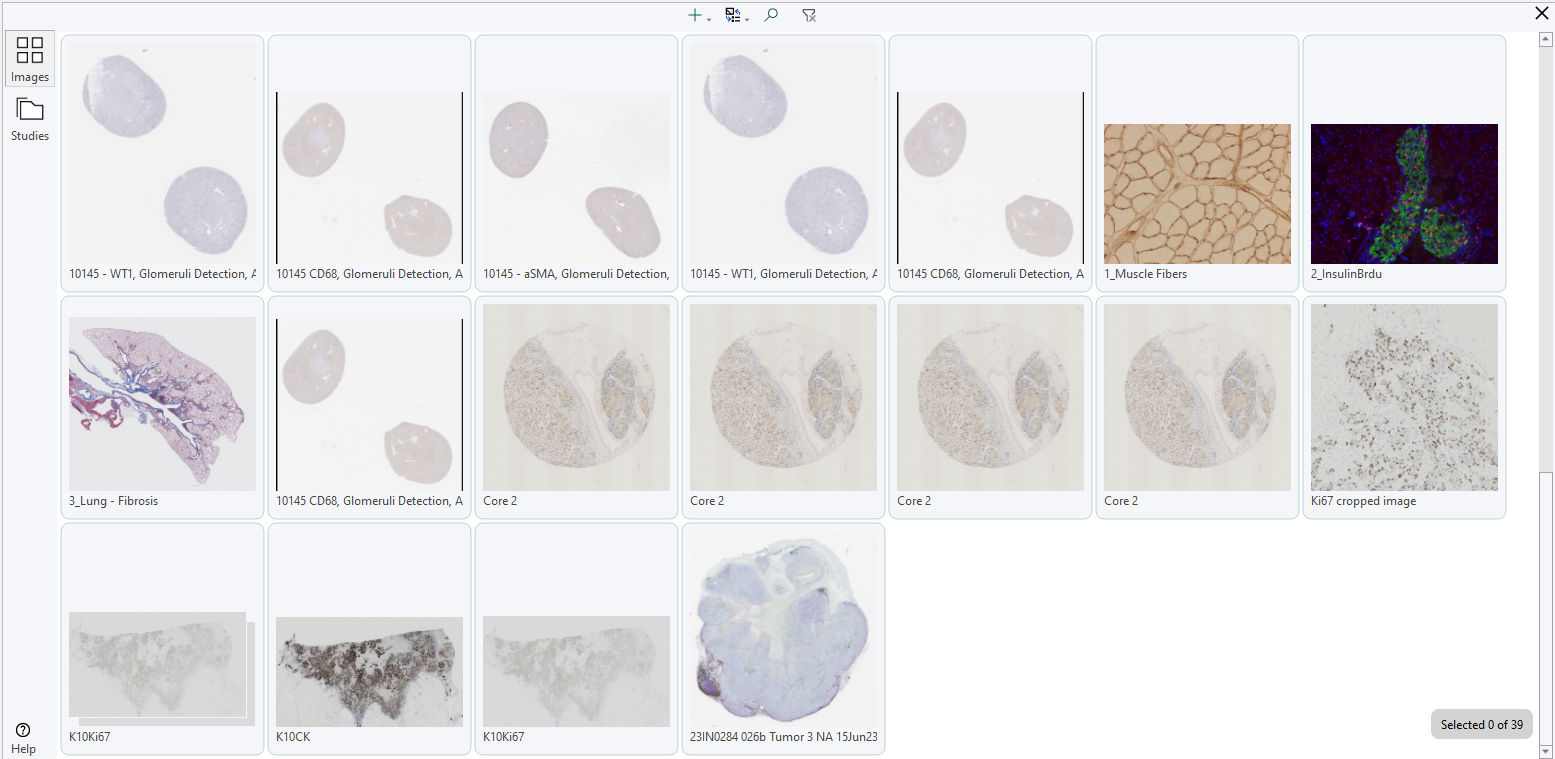 If you click Show image all the images you have just imported will be highlighted.