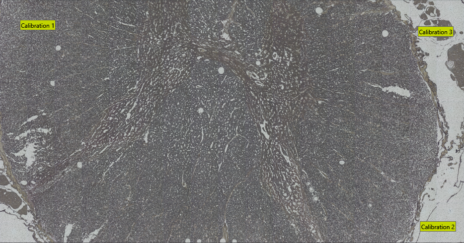 Example of calibration points in an image.