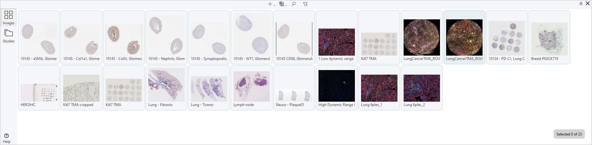 If View images is clicked, all the images just imported will be highlighted.