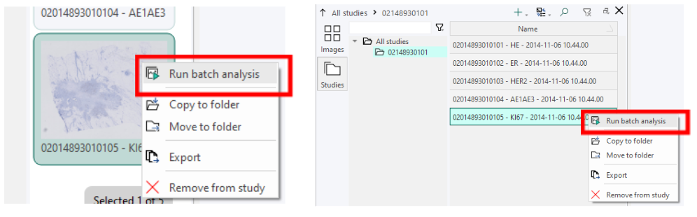 Left: Database with Image thumbnails layout, Right: Database with Details layout