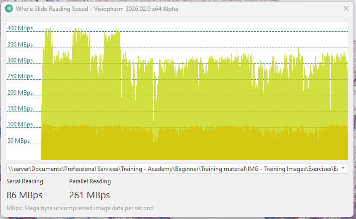Example of the Whole Slide Reading Speed window 