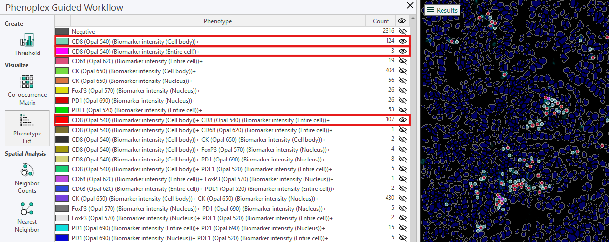 Example showing three different phenotypes, the number of cells positive for each phenotype, and their distribution in the image.