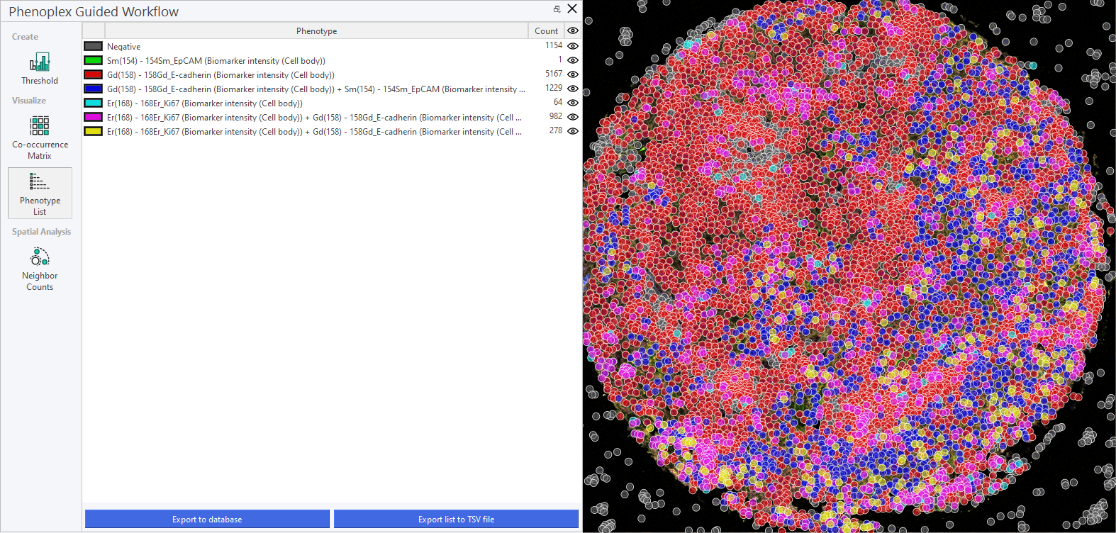Cells postive for selected stains shown in color, other cells shown in grey (Lung cancer tissue IMC).