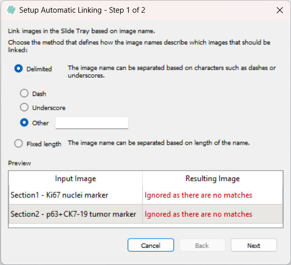 The Delimited option in the dialog, for two tissue slides named "Section1 - Ki67 nuclei marker" and "Section2 - p63+CK7-19 tumor marker".