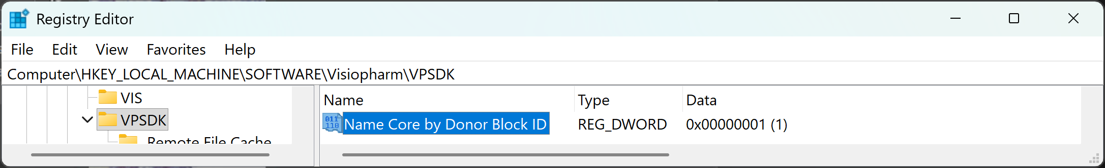 How the added key should be displayed in the registry editor