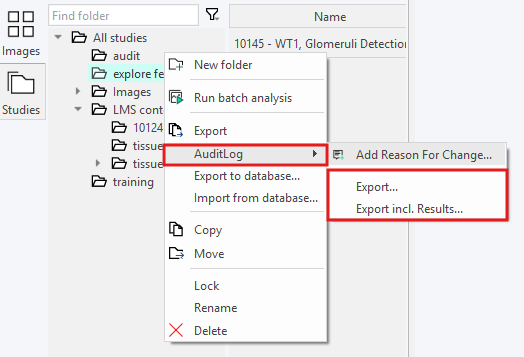 Exporting Audit Log