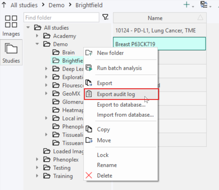 Export audit log