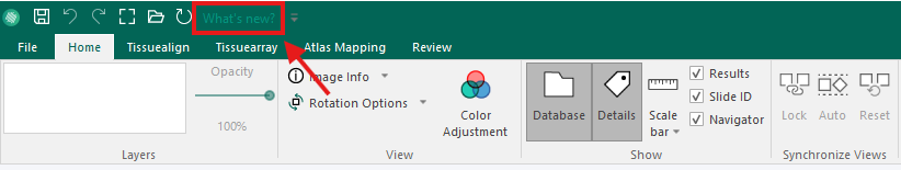 Placement of the What's new? button in the Quick Access Toolbar.