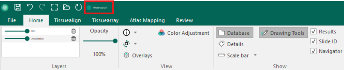 Placement of the What's new? button in the Quick Access Toolbar.