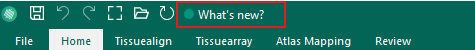 Placement of the What's new? button in the Quick Access Toolbar.