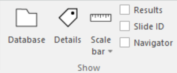 Show section in Ribbon